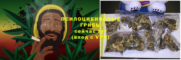 гидропоника Алзамай