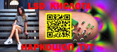 a pvp Гатчина