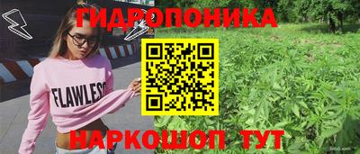 стафф Гусиноозёрск