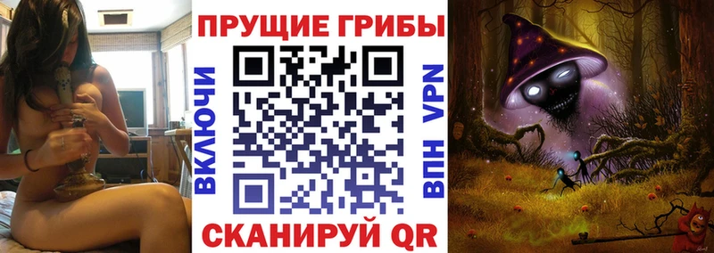Псилоцибиновые грибы GOLDEN TEACHER  где найти наркотики  Нижний Тагил 